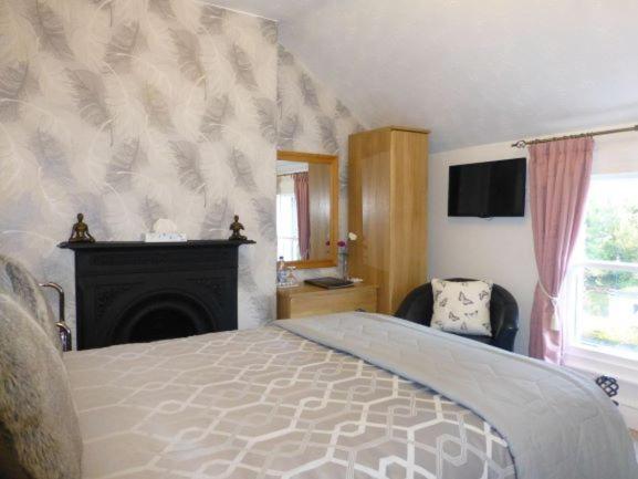 Bryn Derwen Guest House Конви Номер фото